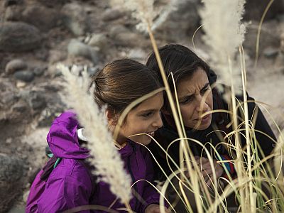 Explora Conservation engagement Atacama desert