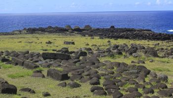 Akahanga