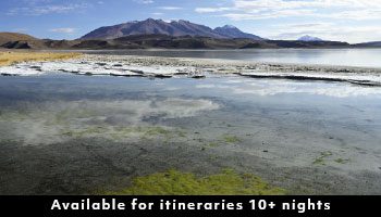 Lagunas andinas