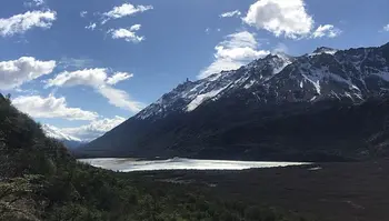 Aves Patagónicas