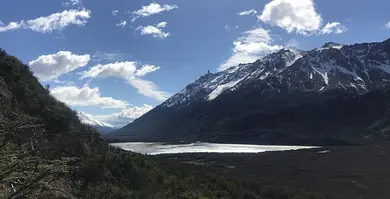 Aves Patagónicas