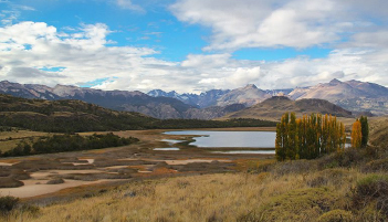 Aves del Valle