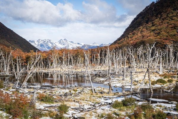 Tierra del Fuego Expedition