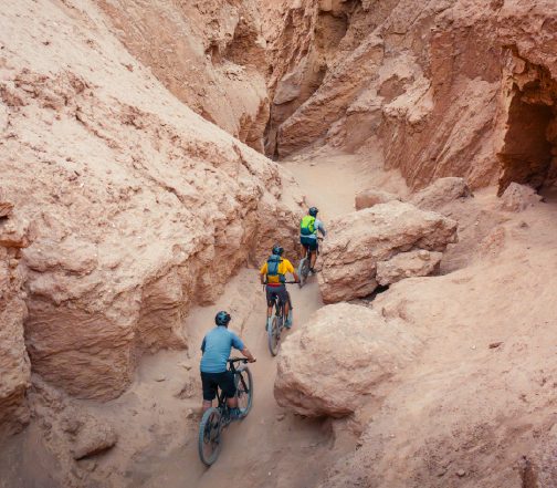Friends riding bikes in Atacama