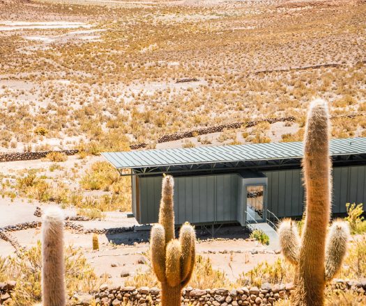 Desert terrain with tall cacti overlooking a small lodge and distant plains.