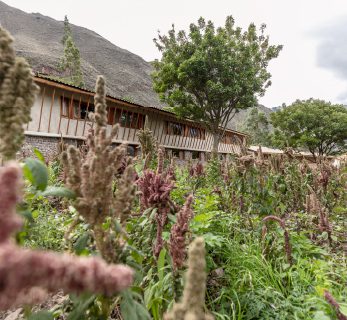 Explora Valle Sagrado lodge surrounded by mountains and lush corn crops set in the Sacred Valley of Peru.