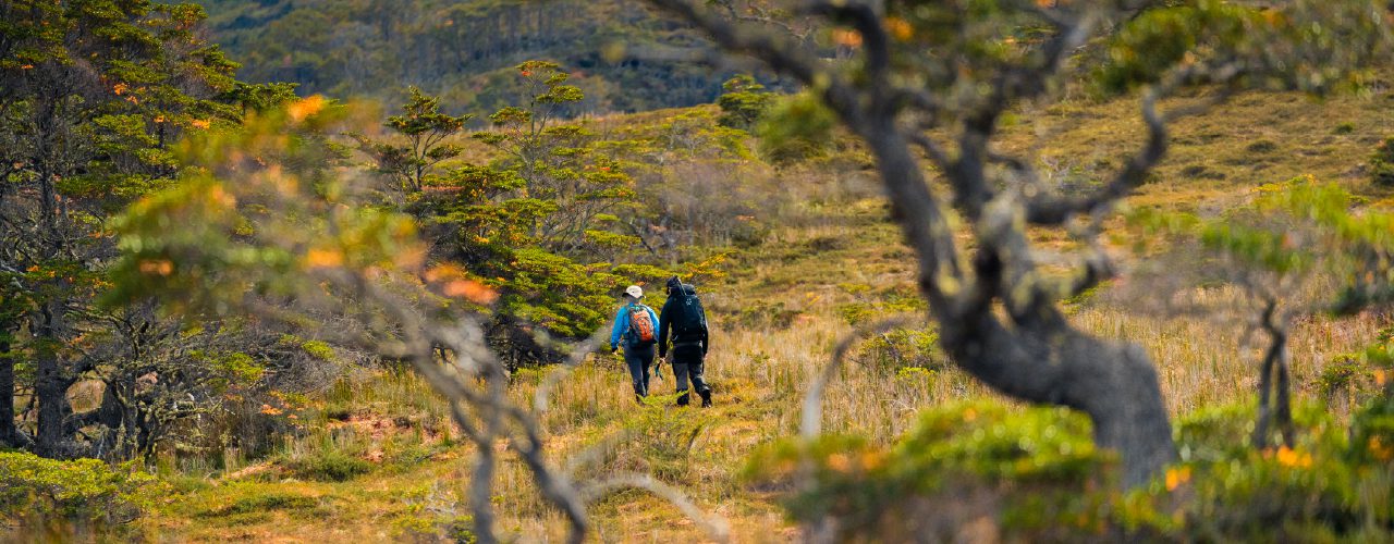 http://Two%20people%20walk%20along%20a%20narrow%20trail%20through%20a%20rugged,%20open%20landscape%20with%20low%20trees%20and%20shrubs,%20surrounded%20by%20hills%20and%20wild%20vegetation
