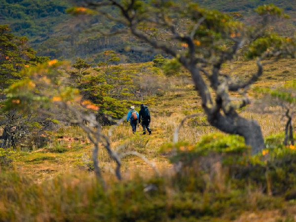 http://Two%20people%20walk%20along%20a%20narrow%20trail%20through%20a%20rugged,%20open%20landscape%20with%20low%20trees%20and%20shrubs,%20surrounded%20by%20hills%20and%20wild%20vegetation