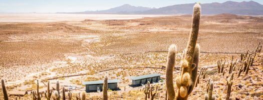A desert hillside dotted with tall cacti overlooking small lodges and vast plains below.