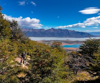 Hiker trekking through lenga beech forest with views of a vivid turquoise glacial lake and Andean mountains near El Calafate, Argentina